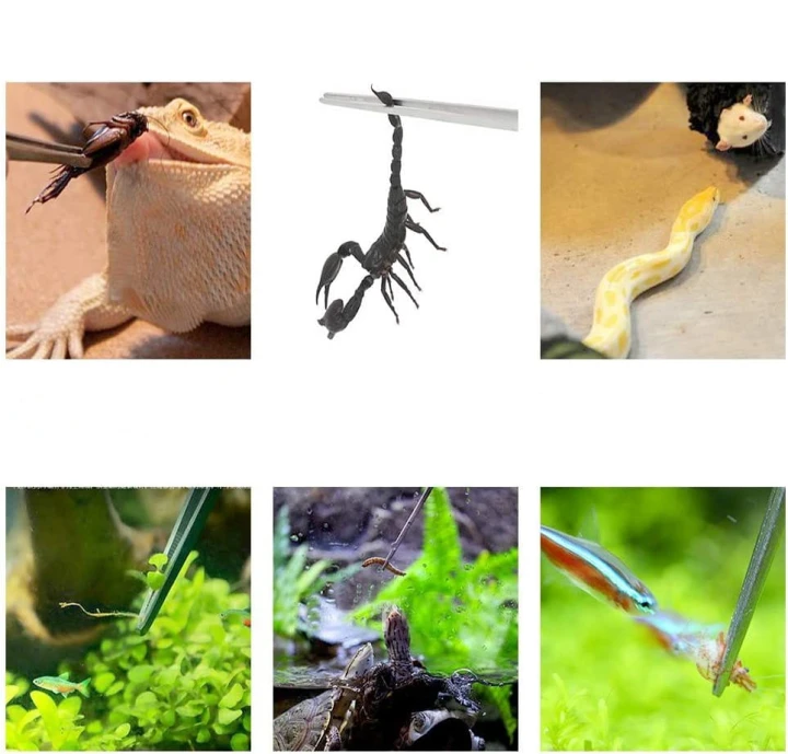 pinceta anatomiczna długa2.jpg